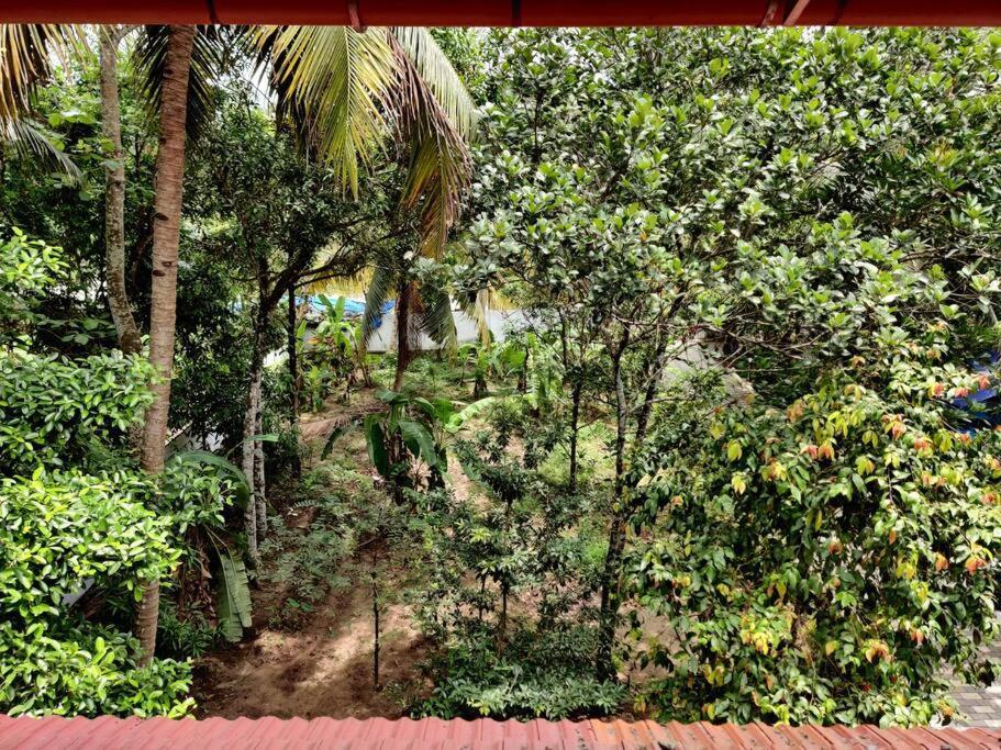 Anandam Stays - Premium 3Bhk Plush Homestay, Vaikom Near Kumarakom Exterior foto